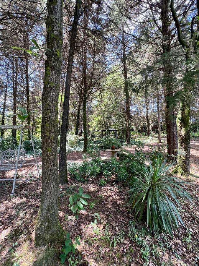 Villas Do Monte غيمارايش المظهر الخارجي الصورة